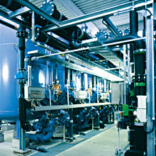 hossarlyk-3.jpg 0607a41c-b3a4-4746-8118-5f6a370c77b2.jpg